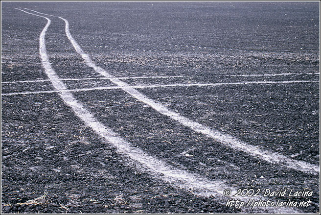 Field - Best of 2002, Norway