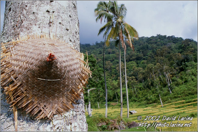 The Rest - Lake Maninjau, Indonesia