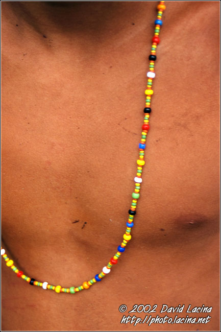 Colours Of Metawai - Siberut island, Indonesia