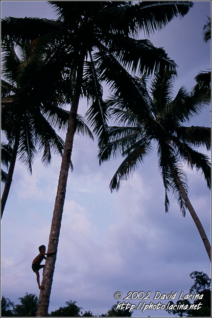 Children Are VERY Skilled - Siberut island, Indonesia