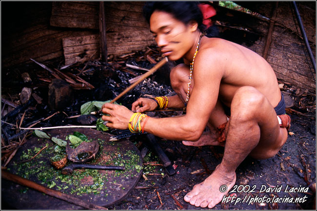Preparing The Poisonous Arrows - Siberut island, Indonesia