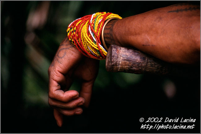 Mentawai Like Bracelets - Siberut island, Indonesia