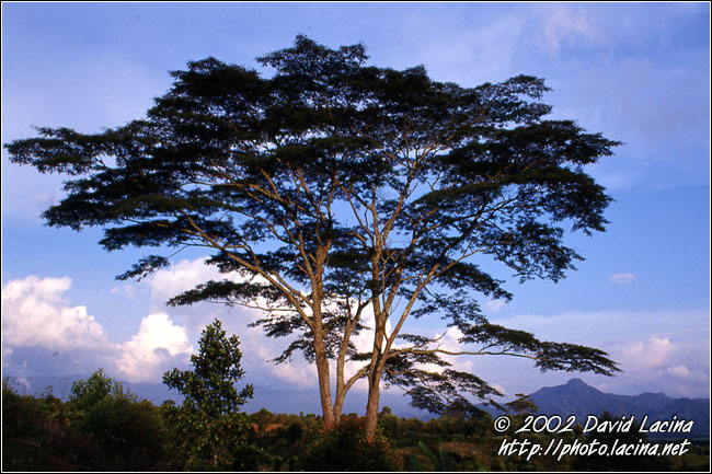 Sunset - Kerinci, Indonesia