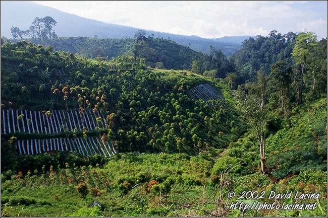 Kerinci Countryside - Kerinci, Indonesia