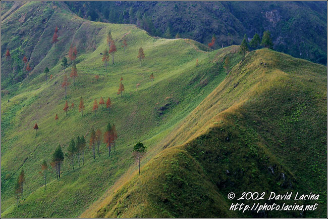 West Part Of Lake Toba - Lake Toba, Indonesia
