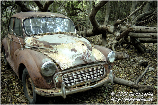 Old Car, Hato Caves Path - Best Of Curaçao, Curaçao