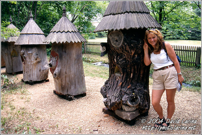 Monika By Bee-hives - Rožnov pod Radhošťem, Czech republic