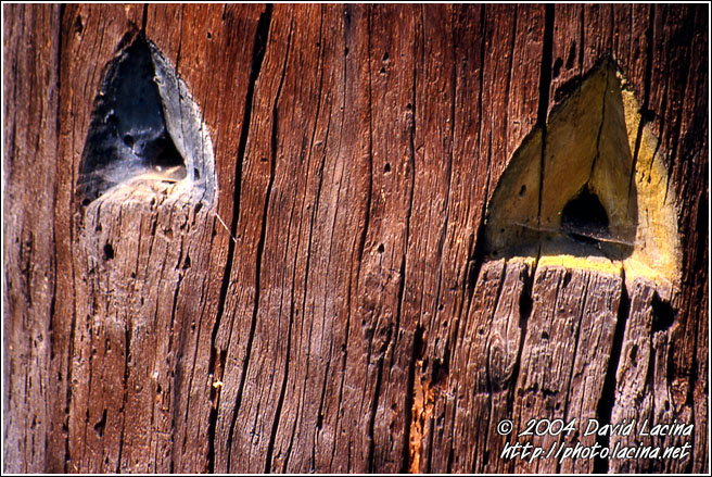 Colour Of Home - Bee-hive Entrances - Rožnov pod Radhošťem, Czech republic