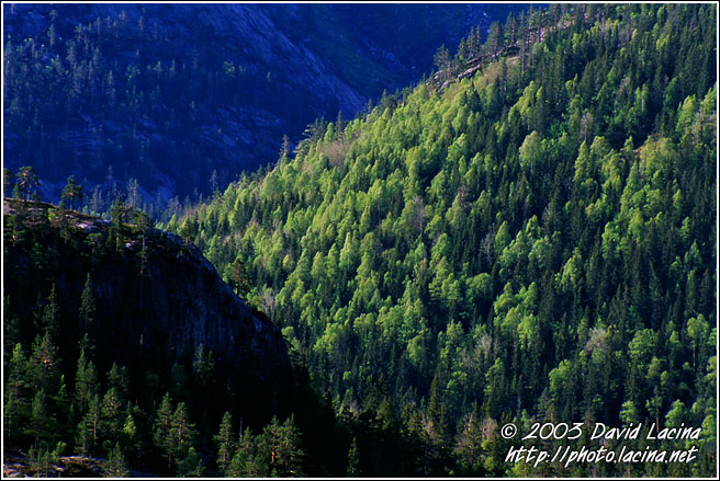 Colours Of Three - Best of 2003, Norway
