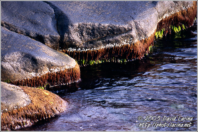 Coast Detail - Best of 2003, Norway