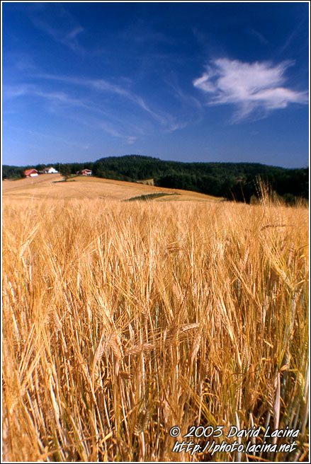 Farm Field II. - Best of 2003, Norway