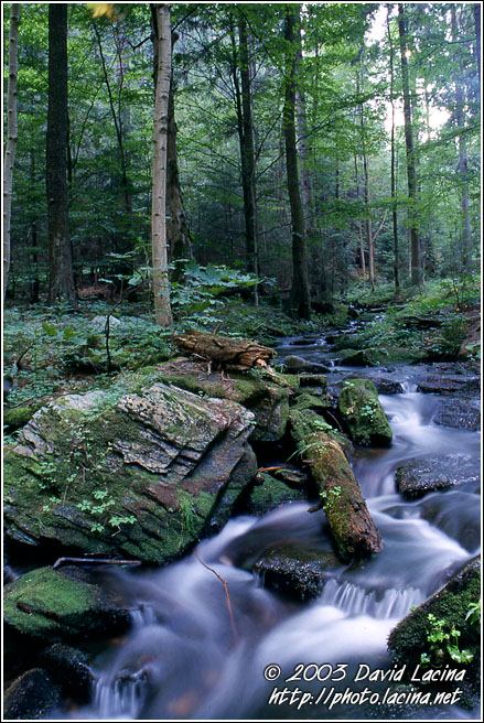Resovske Vodopady I. - Northern Moravia, Czech republic