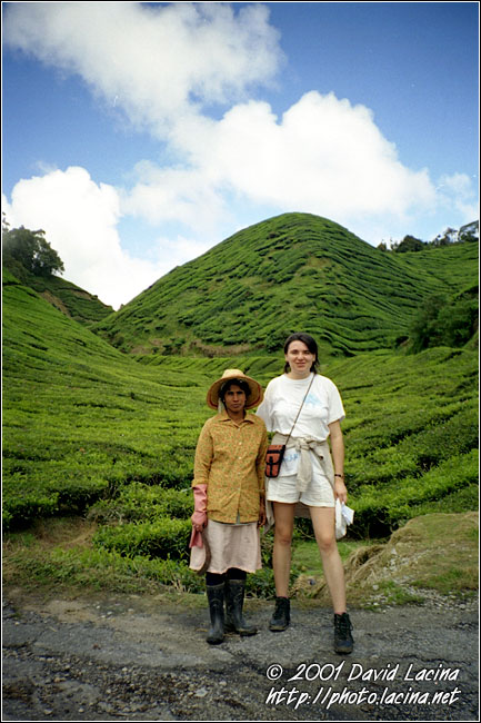 Eva And Local Worker - Cameron Highlands, Malaysia