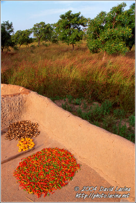 Drying Harvest - Lobi tribe, Ghana