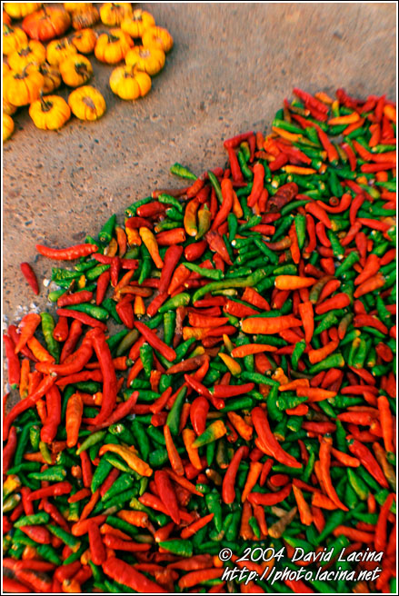 Harvest Abstraction - Lobi tribe, Ghana