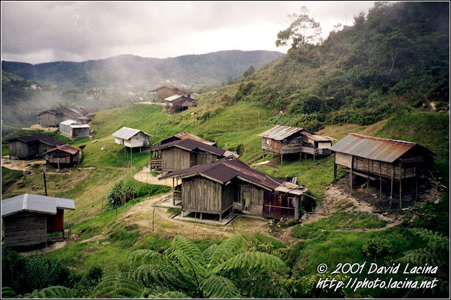 Orang Asli Willage - Cameron Highlands, Malaysia