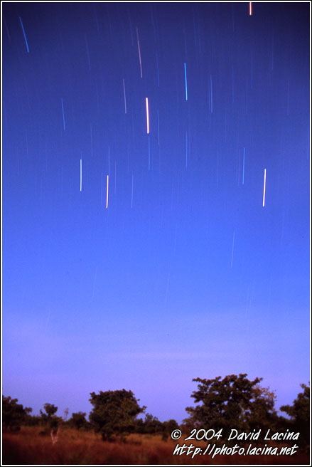 Falling Stars - Lobi tribe, Ghana