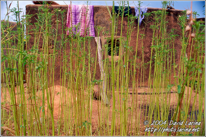 Dream House - Kassena tribe, Ghana