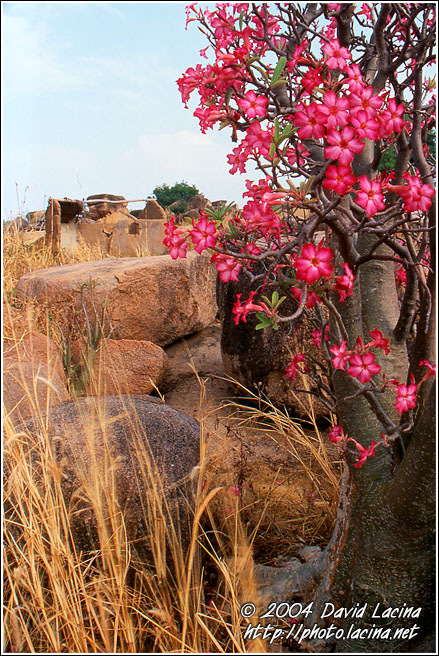 Lost Eden - Talensi land, Ghana