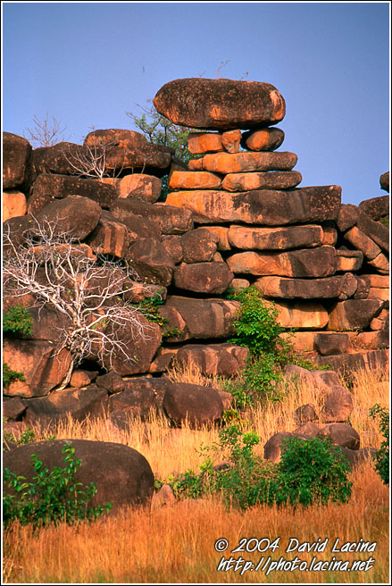 Architect? Nature.. - Talensi land, Ghana