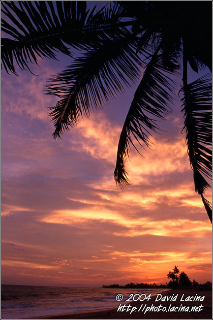 Sunset At Breno Beach - Brenu beach, Ghana
