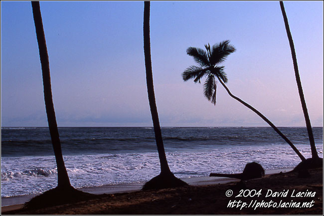 Exception - Brenu beach, Ghana