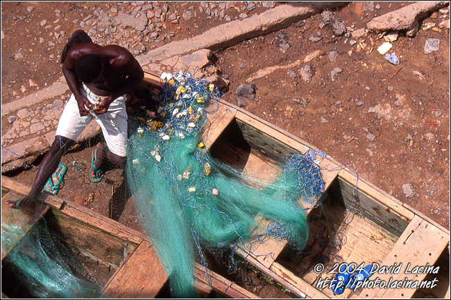 Repairing Nests - Cape Coast, Ghana