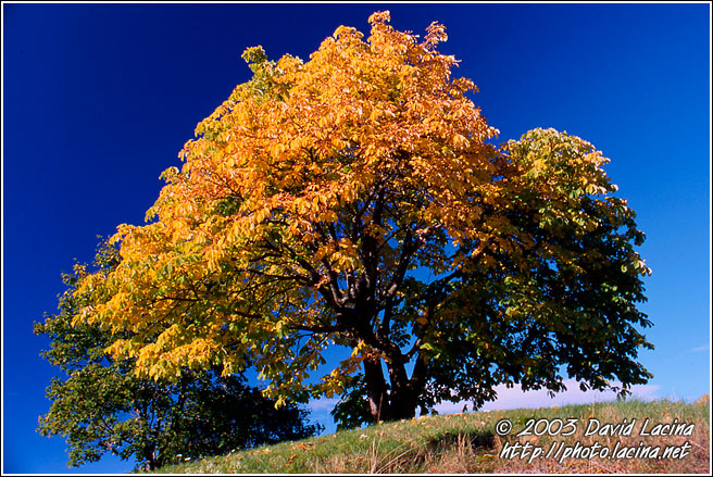 Beautiful Autumn - Best of 2003, Norway