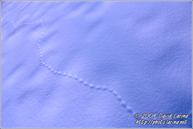 Small Steps Of Long Journey - Best of 2004, Norway