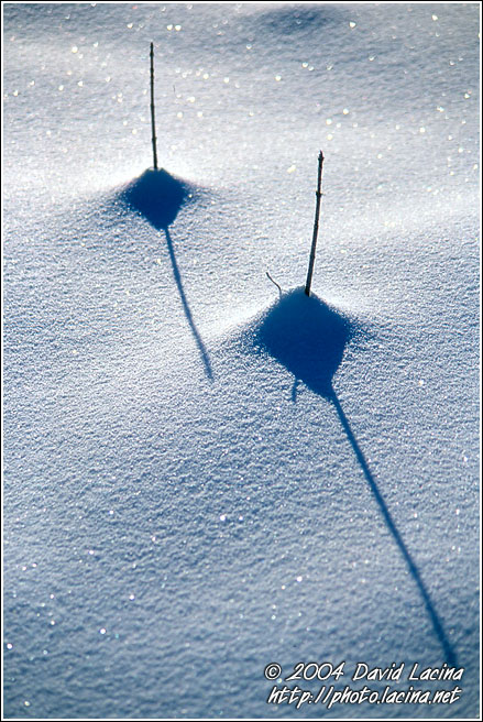 Brothers - Best of 2004, Norway