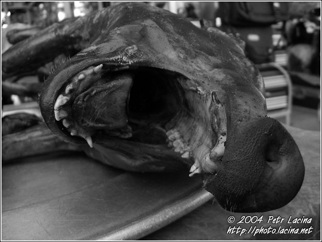 Bad Dream - Vietnam in B&W, Vietnam