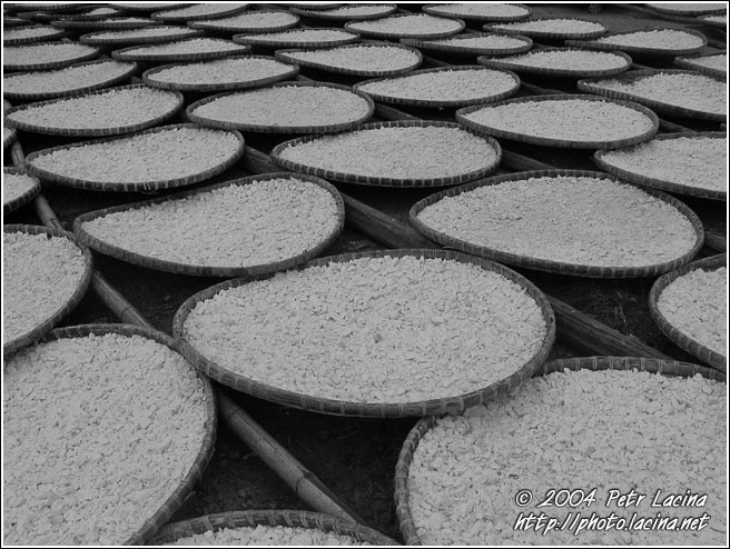 Drying Salt - Vietnam in B&W, Vietnam