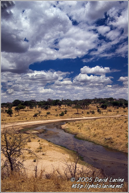 Tarangire Scenery - Tarangire NP, Tanzania