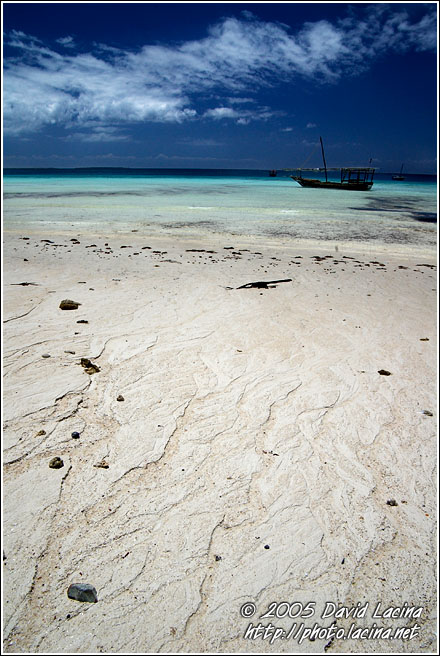 Find Your Way - Northern Zanzibar, Tanzania