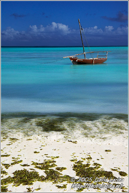 Colours Of Zanzibar - Northern Zanzibar, Tanzania