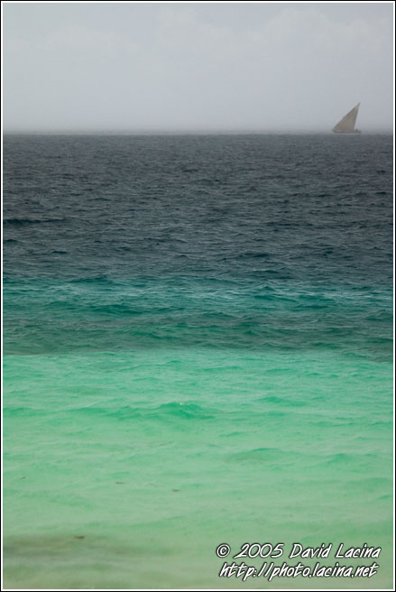 Dhow In A Storm - Northern Zanzibar, Tanzania