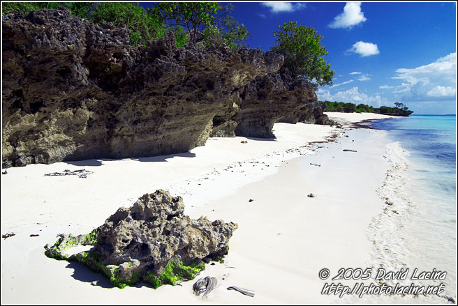 Rocks By Nothern Coast - Northern Zanzibar, Tanzania