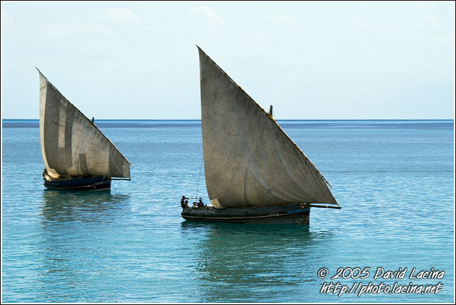 Dhows On Sea - Stone Town, Tanzania