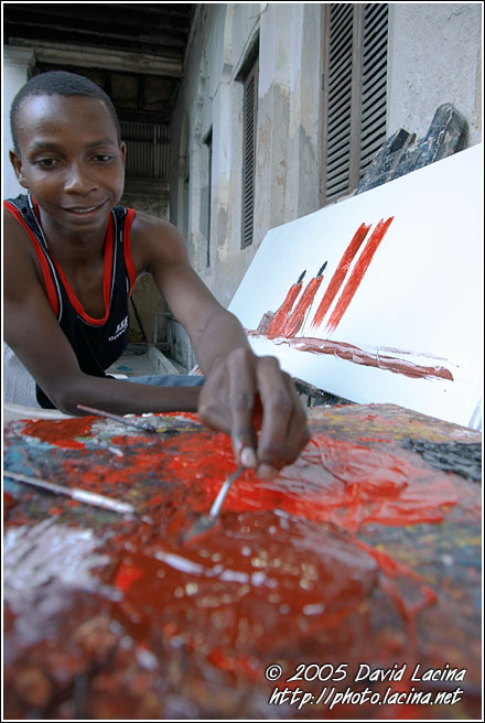 Zanzibar Artist - Stone Town, Tanzania