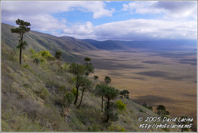 Ngorongoro Crater - Ngorongoro Crater, Tanzania