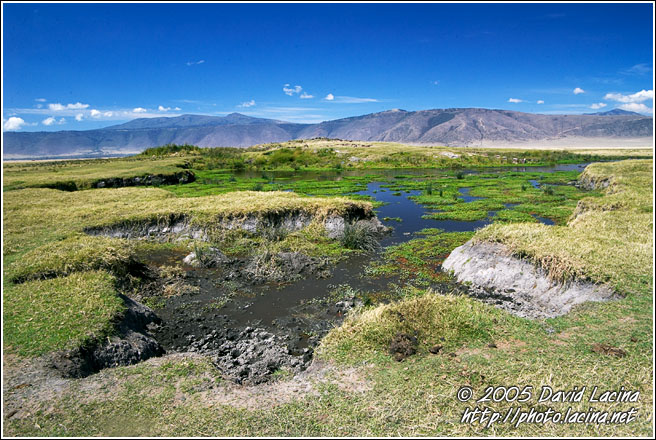 Landscape Of The Crater - Ngorongoro Crater, Tanzania