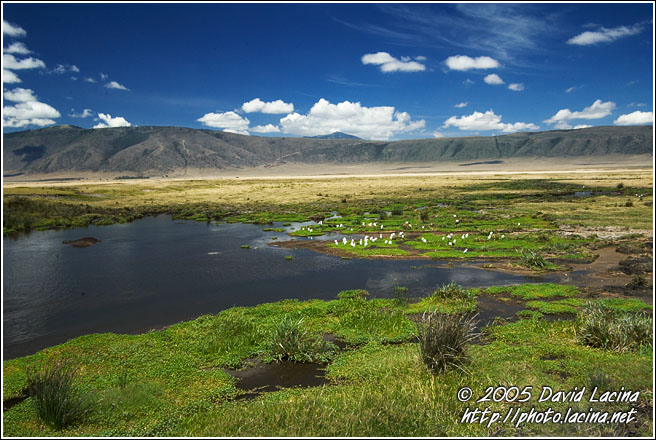 Landscape Of Ngorongoro - Ngorongoro Crater, Tanzania