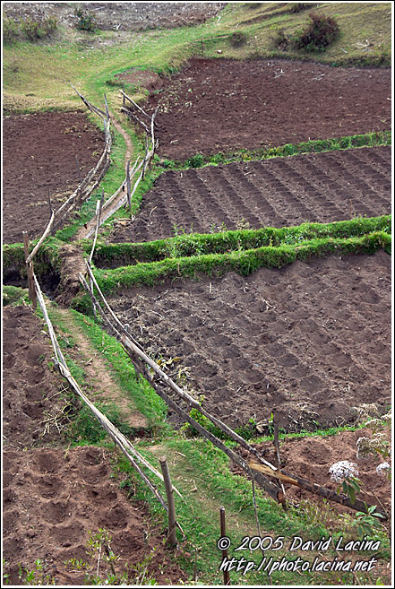 Path Through Fields - Nature Of Usambara Mountains, Tanzania