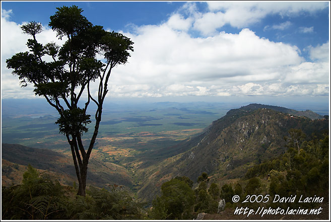 Usambara Landscape - Nature Of Usambara Mountains, Tanzania