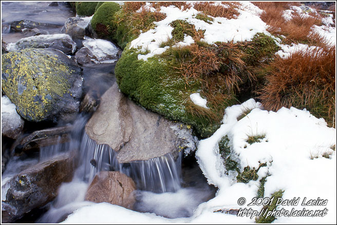 River In Rondane - Best of 2001, Norway