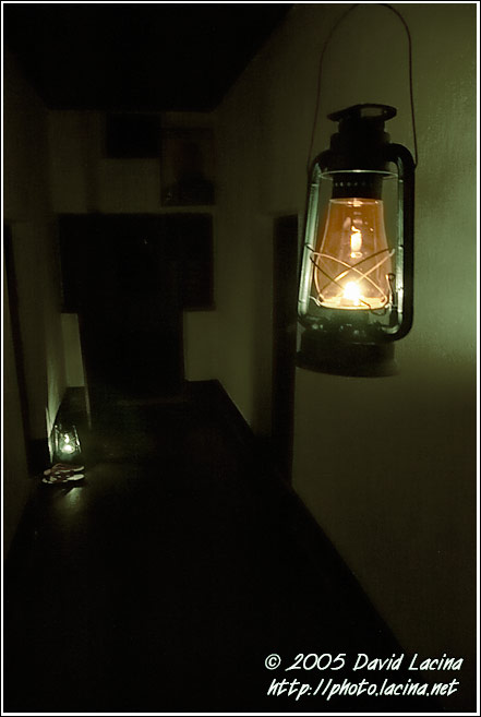Evening In A Hotel - Nature Of Usambara Mountains, Tanzania