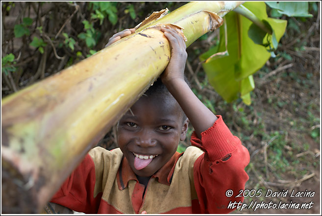 Returning From A Work - People Of Usambara Mountains, Tanzania