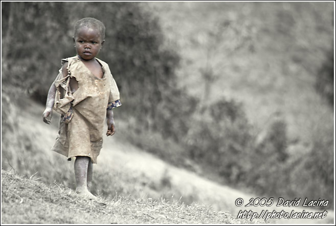 Amazement - Colorized Tanzania, Tanzania