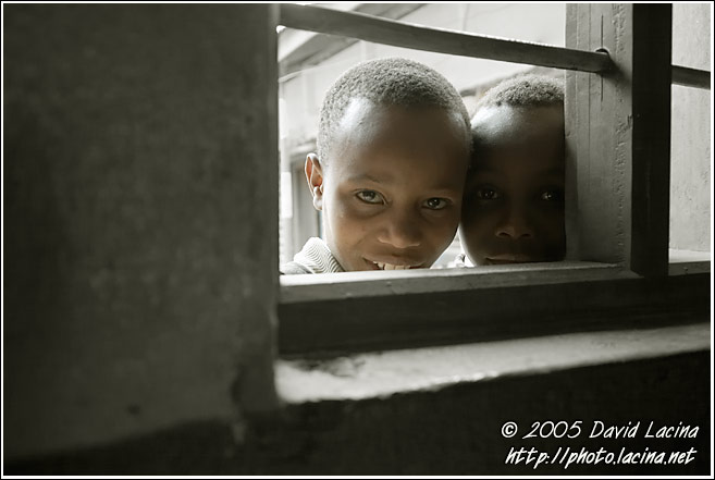 Curiosity - Colorized Tanzania, Tanzania