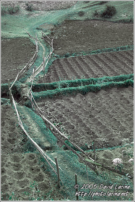 Fields And Path - Colorized Tanzania, Tanzania